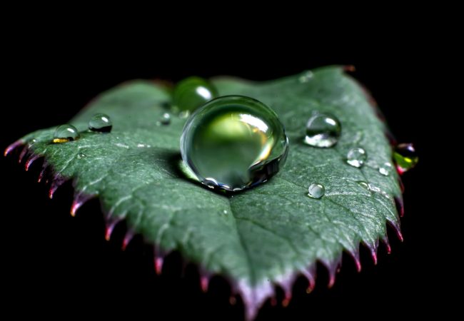gary-ellis-9EVpqlGO3N4-unsplash gary-ellis-9EVpqlGO3N4-unsplash